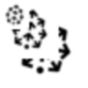 Pinecone